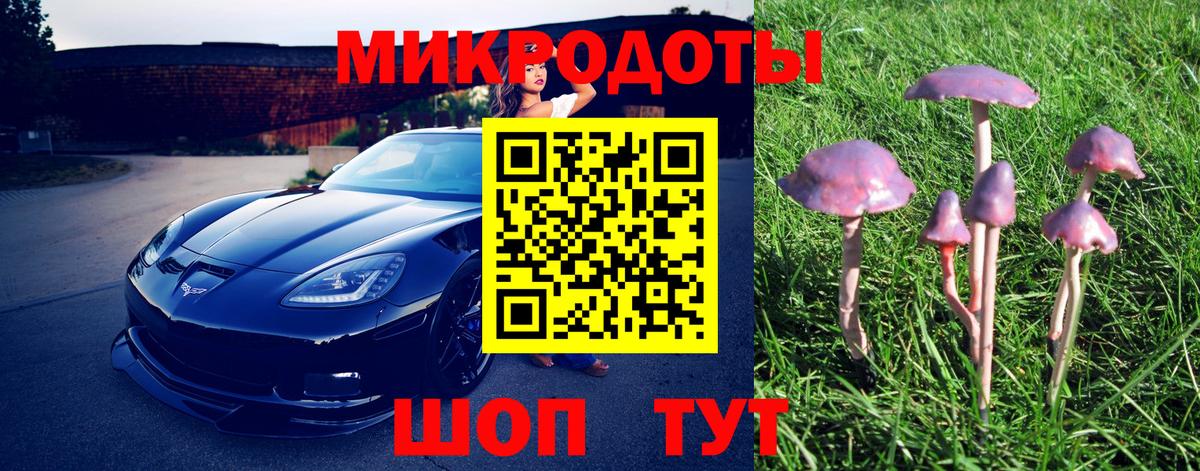 Псилоцибиновые грибы GOLDEN TEACHER  Галлюциногенные грибы GOLDEN TEACHER  Балтийск 